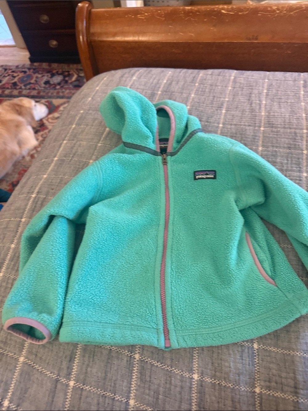 Patagonia Kids Teal Hooded Fleece Jacket with Pink Trim